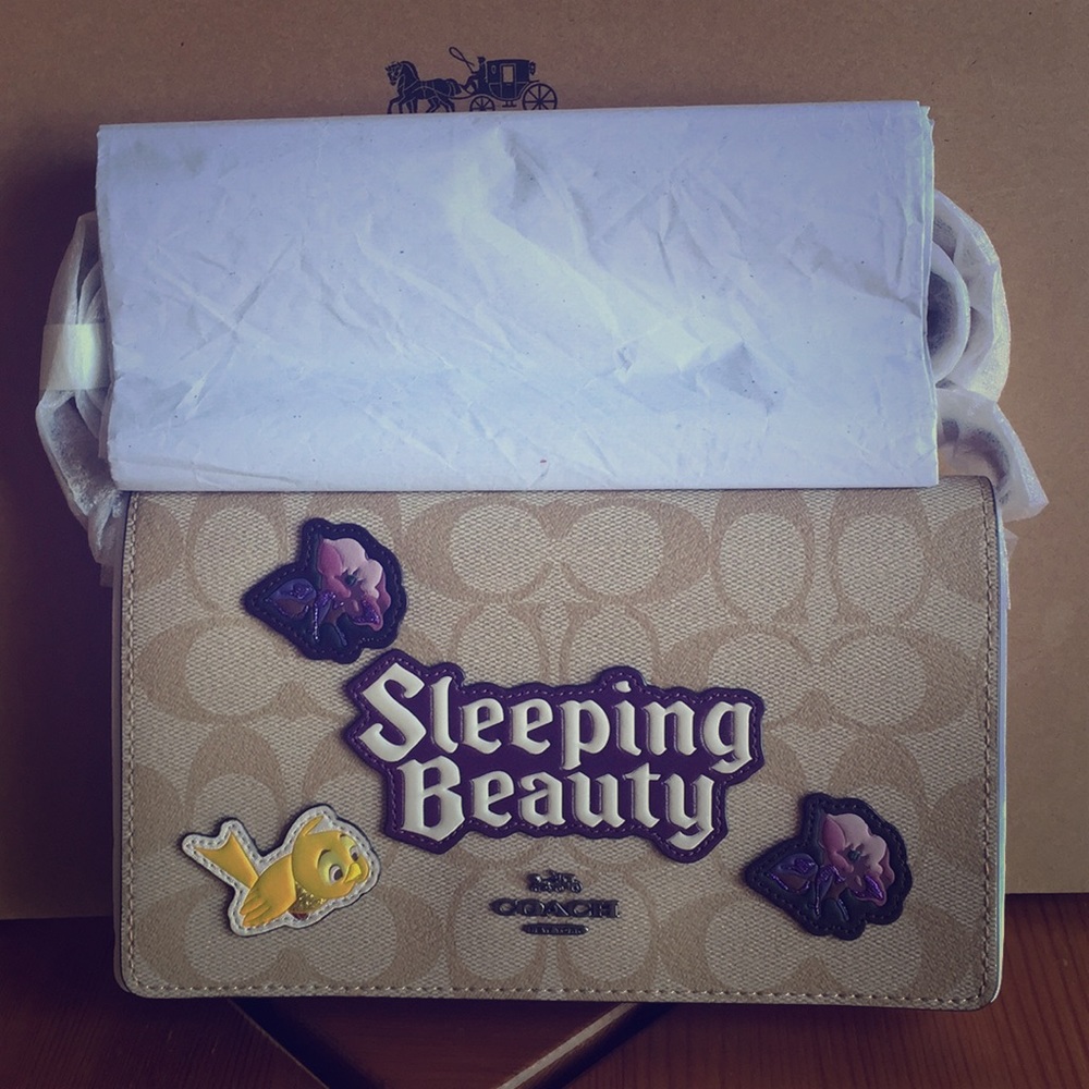 Disney Coach Sleeping Beauty Canvas Clutch Fldovr